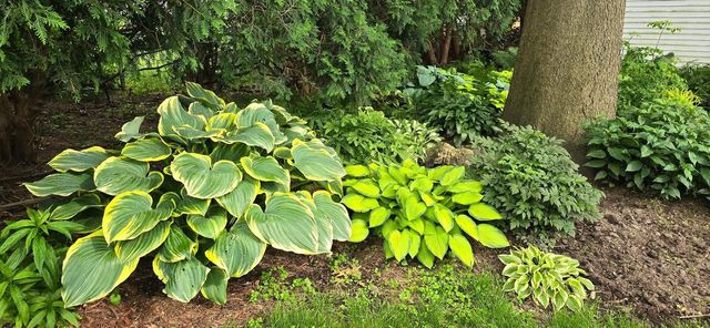 1520 Shannon Drive, Janesville, WI 53546