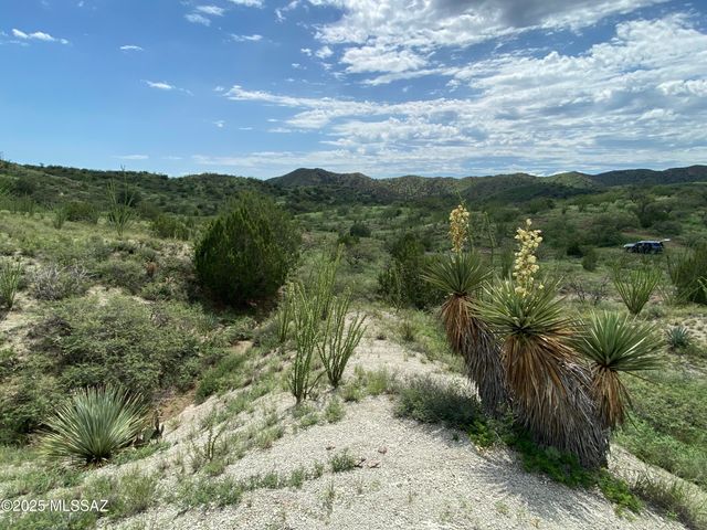 00 Proctor Lane F-2, Patagonia, AZ 85624