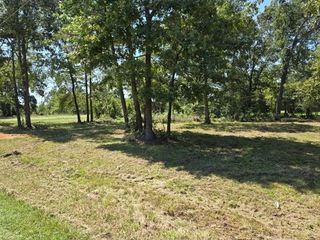 Lot 3 S Fm 980, Point Blank, TX 77364