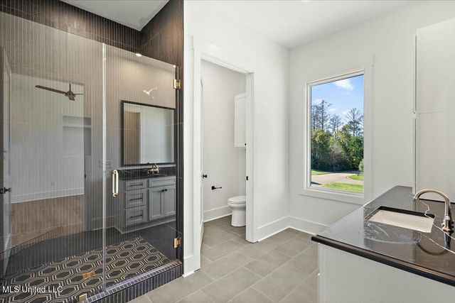 253 N Natchez Drive, 301, Madison, MS 39110