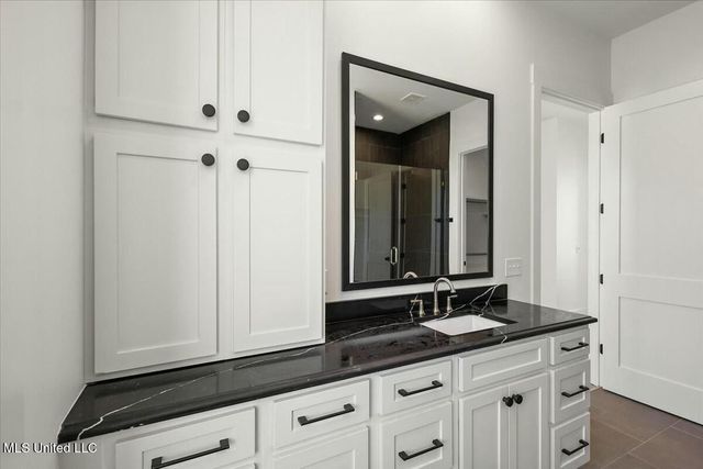 253 N Natchez Drive, 301, Madison, MS 39110