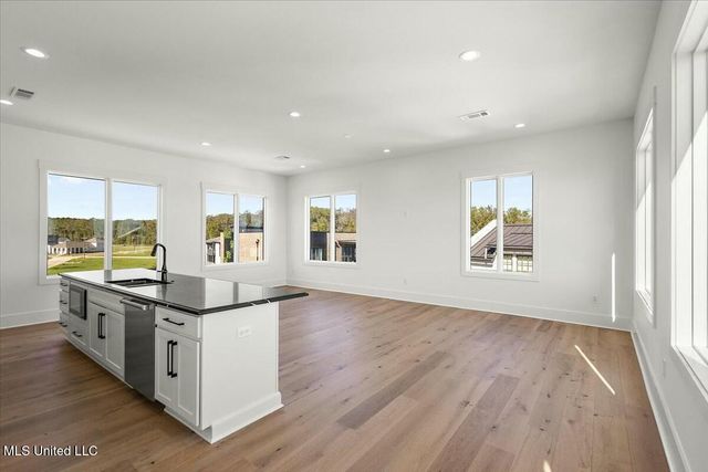 253 N Natchez Drive, 301, Madison, MS 39110