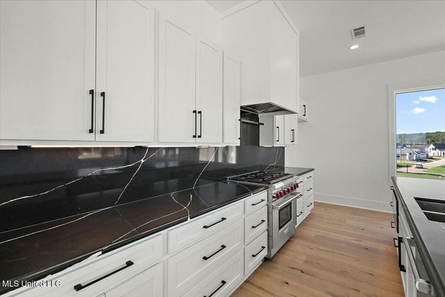 253 N Natchez Drive, 301, Madison, MS 39110