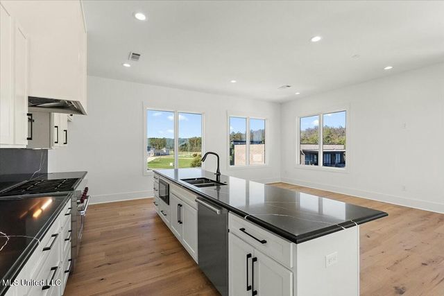 253 N Natchez Drive, 301, Madison, MS 39110