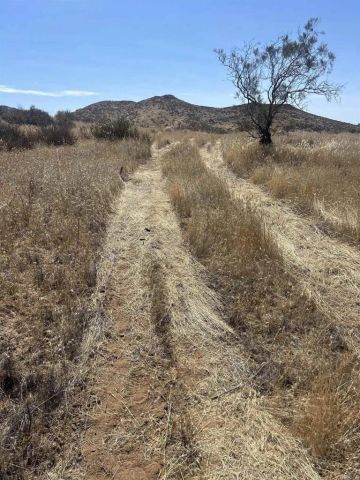 ., Hemet, CA 92544