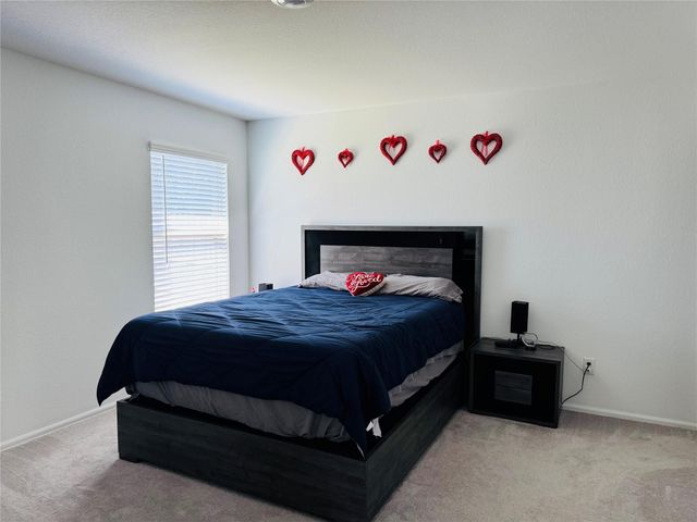1134 Millers Pass Dr Pass, Rosenberg, TX 77471