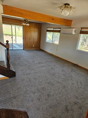 2252 Dennis Dr, Stonyford, CA 95979