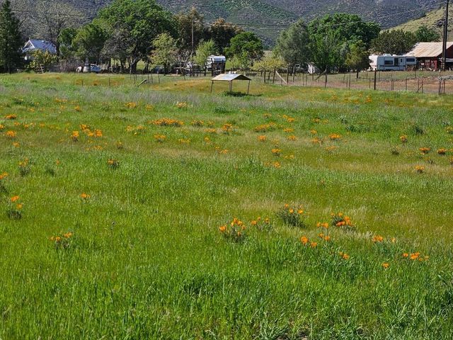 2252 Dennis Dr, Stonyford, CA 95979