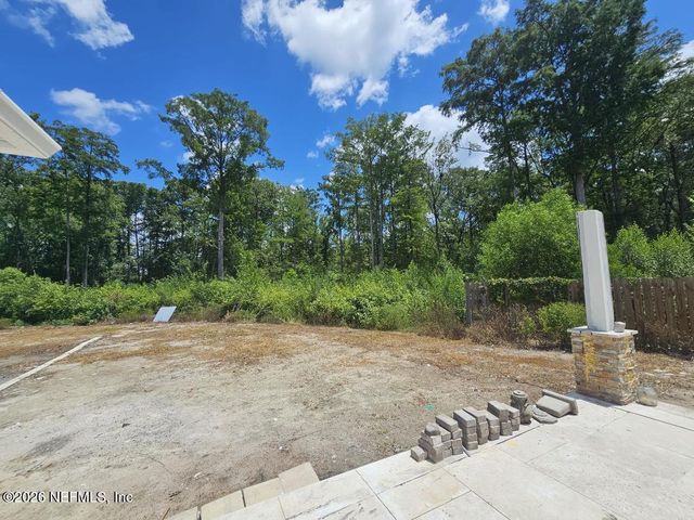 721 TARA FARMS Drive, Middleburg, FL 32068