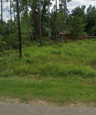 1307 Flamingo Street, Conroe, TX 77385