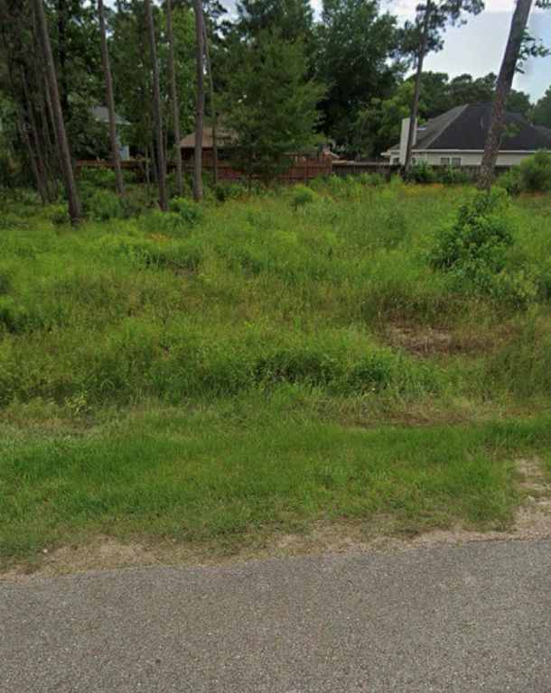 1307 Flamingo Street, Conroe, TX 77385