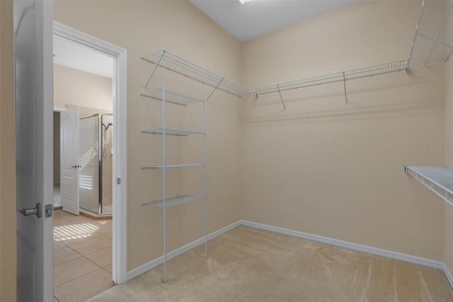 4206 WINDCREST DRIVE, Wesley Chapel, FL 33544