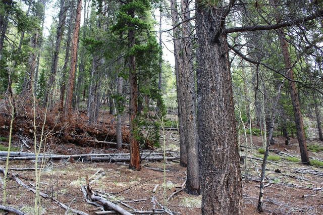 00 Broomfield Gulch Road, Black Hawk, CO 80422