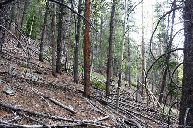 00 Broomfield Gulch Road, Black Hawk, CO 80422