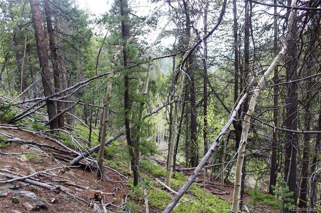 00 Broomfield Gulch Road, Black Hawk, CO 80422