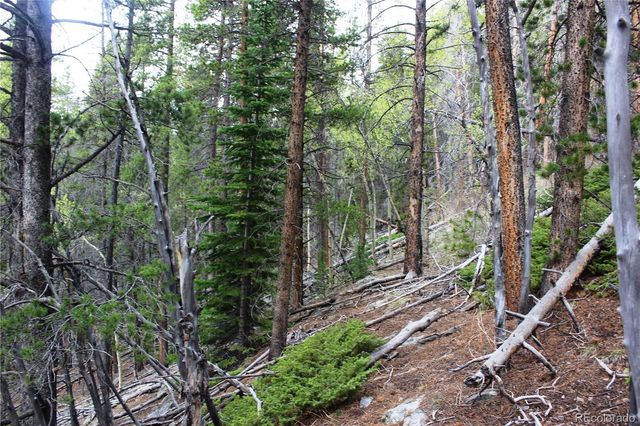 00 Broomfield Gulch Road, Black Hawk, CO 80422