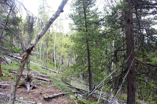 00 Broomfield Gulch Road, Black Hawk, CO 80422