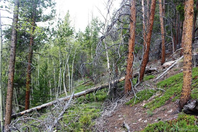 00 Broomfield Gulch Road, Black Hawk, CO 80422