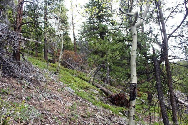 00 Broomfield Gulch Road, Black Hawk, CO 80422