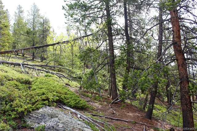 00 Broomfield Gulch Road, Black Hawk, CO 80422