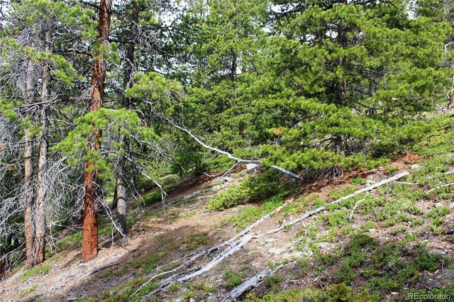 00 Broomfield Gulch Road, Black Hawk, CO 80422