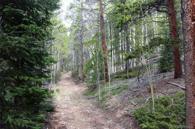 00 Broomfield Gulch Road, Black Hawk, CO 80422