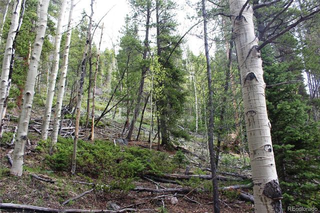 00 Broomfield Gulch Road, Black Hawk, CO 80422