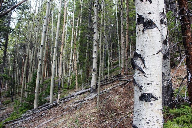 00 Broomfield Gulch Road, Black Hawk, CO 80422