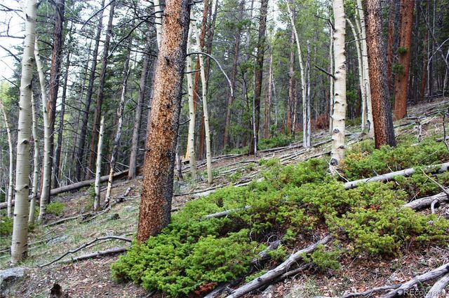 00 Broomfield Gulch Road, Black Hawk, CO 80422