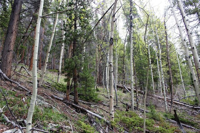 00 Broomfield Gulch Road, Black Hawk, CO 80422