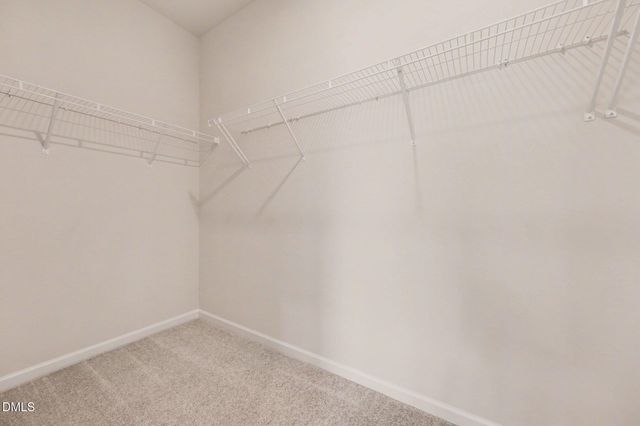 706 Orchard Vista Circle, Raleigh, NC 27606