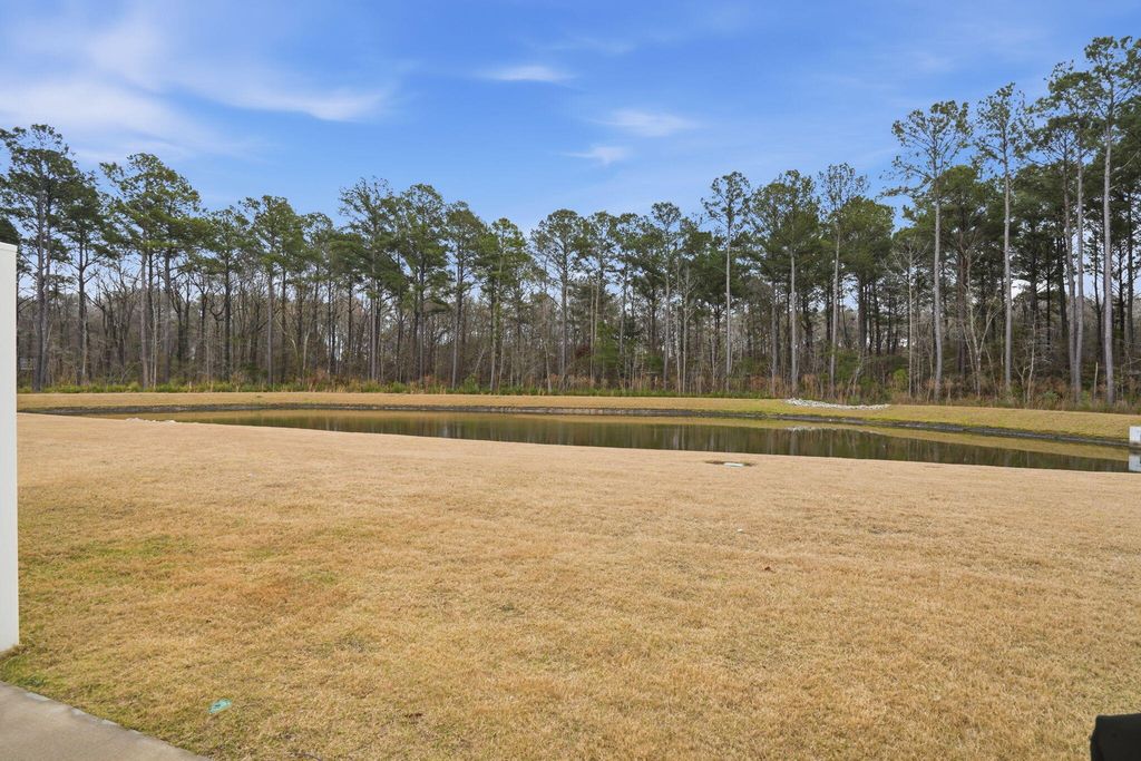 Image 20 of property listing at 4117 Quincy Adams Lane, North Charleston, SC 29418