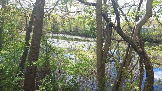 9 Romoli Avenue 9, Attleboro, MA 02703