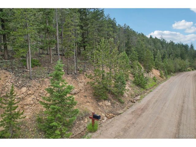 Elk Valley Dr, Evergreen, CO 80439