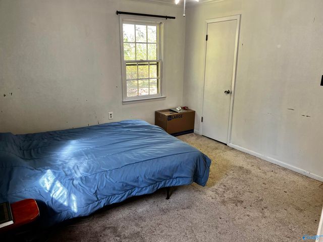 9194 County Road 236, Moulton, AL 35650