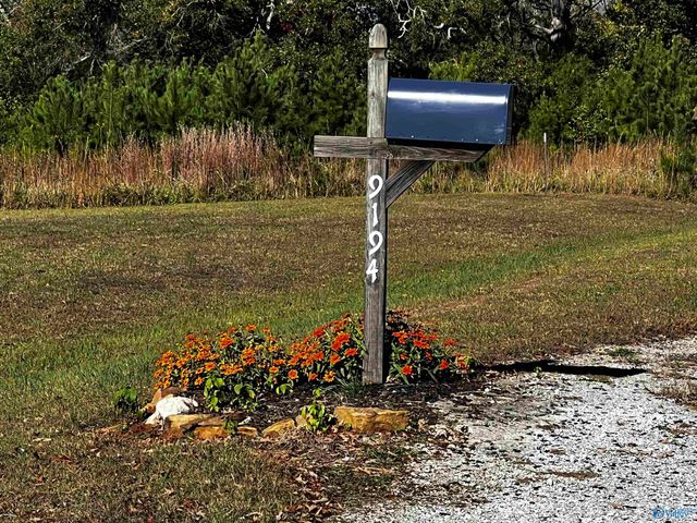 9194 County Road 236, Moulton, AL 35650