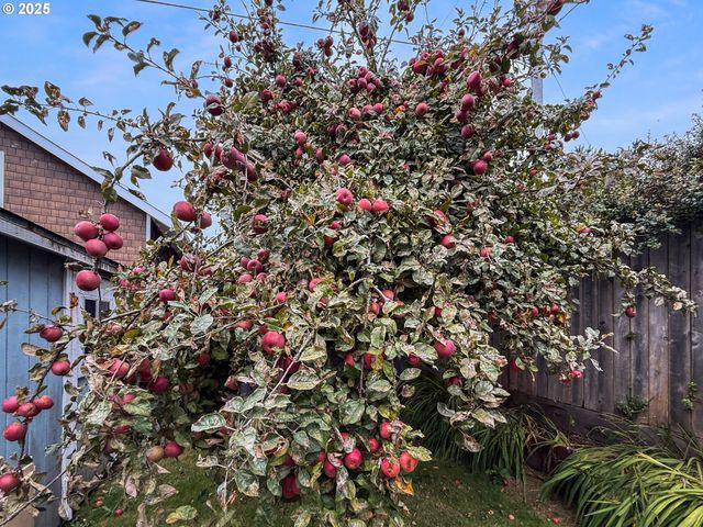 1330 CRISSEY Cir, Brookings, OR 97415