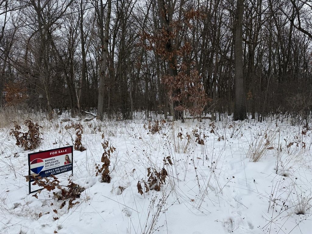 0 N Brown Street, Jackson, MI 49202