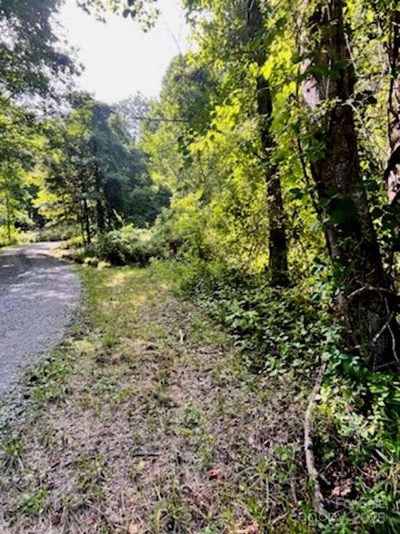 999999 Indian Camp Creek Road, Hot Springs, NC 28743
