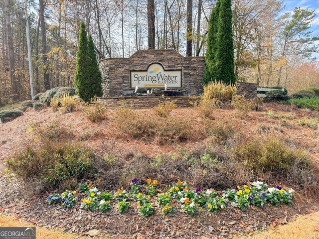 295 Springwater, Newnan, GA 30265