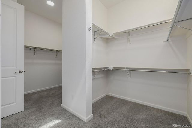 9557 Boone Lane, Littleton, CO 80125