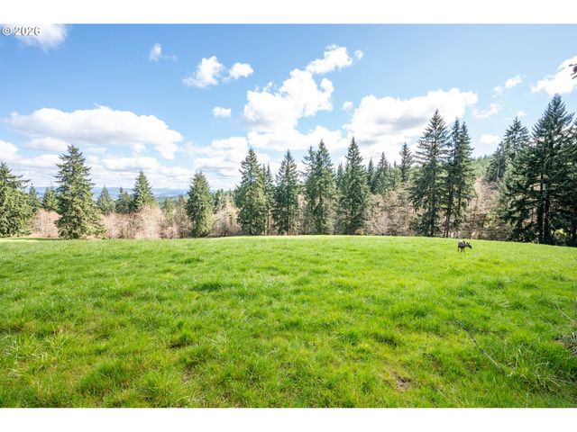 2366 SEMINARY HILL Rd, Centralia, WA 98531