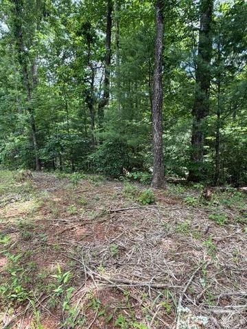 0 Country Way, Lake Lure, NC 28746