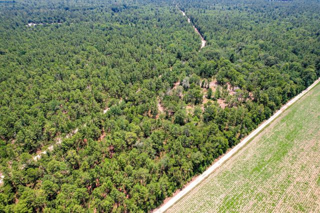 17 Acres Hard Luck Lane, Windsor, SC 29856