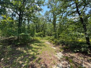 17 Acres Hard Luck Lane, Windsor, SC 29856