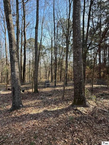 1061 WHITEHEAD ROAD, Choudrant, LA 71227