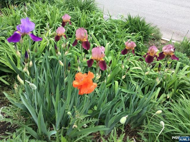 181 Arthur Street, Hillsdale, NJ 07642