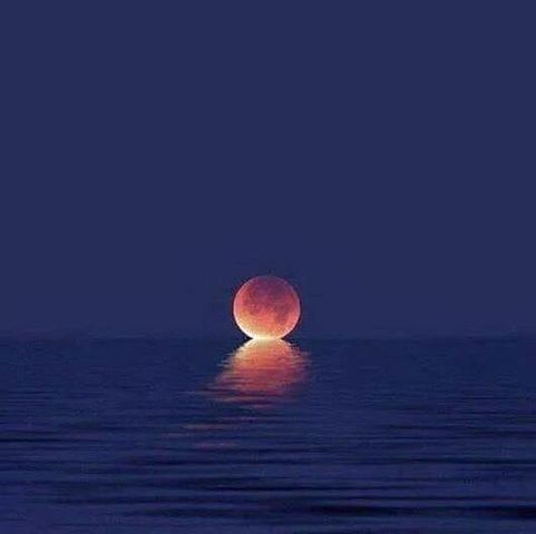 4 Carmela Lane, Buzzards Bay, MA 02532