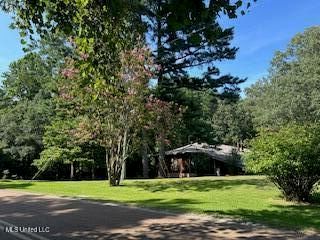 19 Autumn Drive, Coldwater, MS 38618