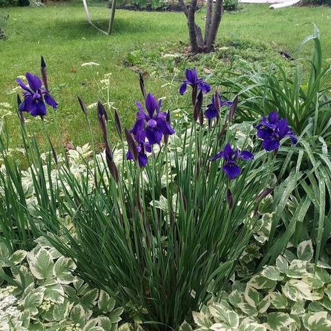 852 Innes Street NE 2, Grand Rapids, MI 49503